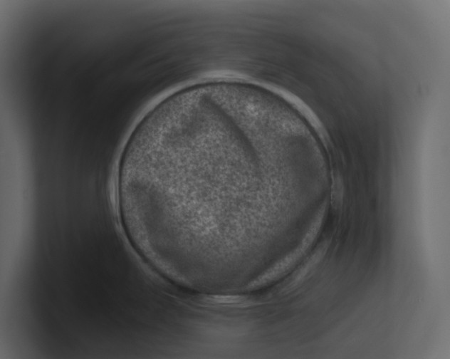 X0000100901295200807151110