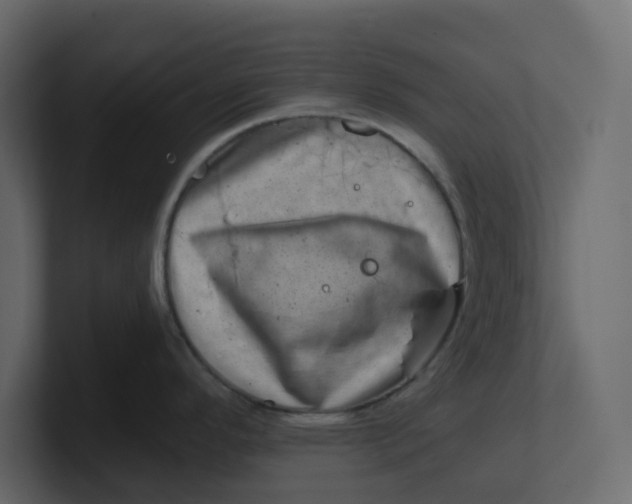 X0000100901296200807151110