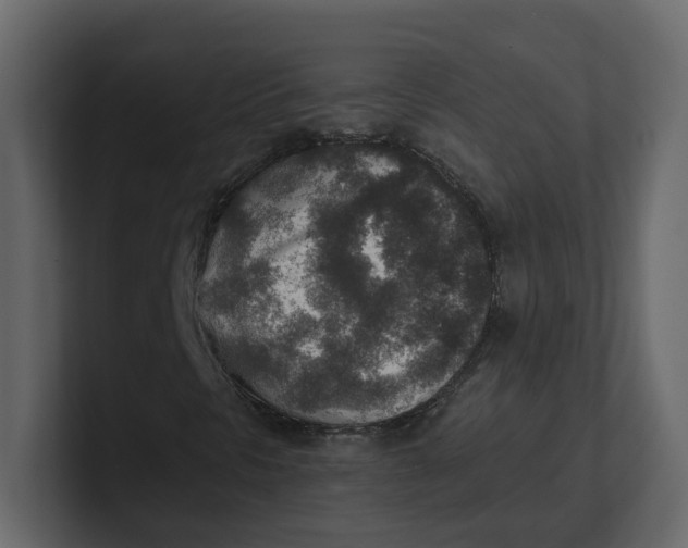 X0000100901297200807151109