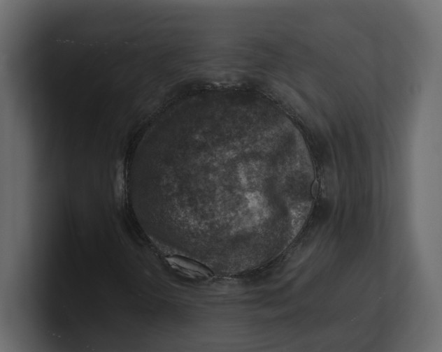 X0000100901298200807151109