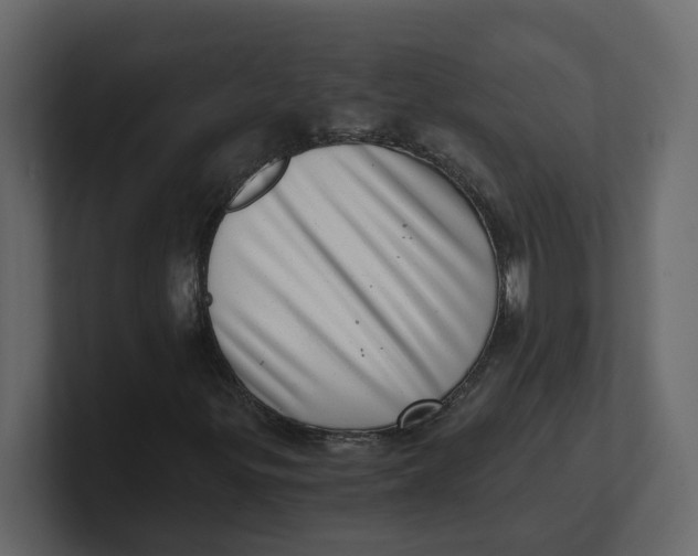 X0000100901299200807151109