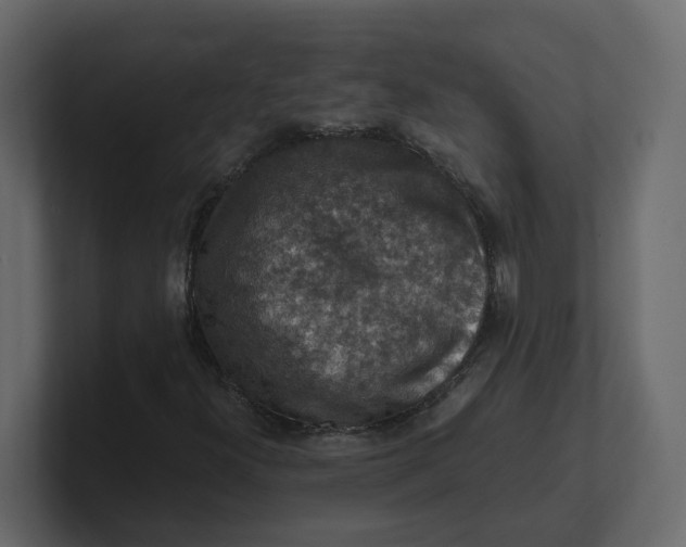 X0000100901300200807151109