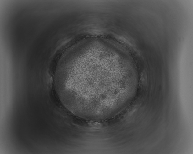 X0000100901302200807151109