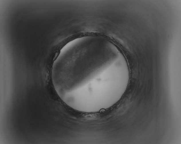 X0000100901303200807151109