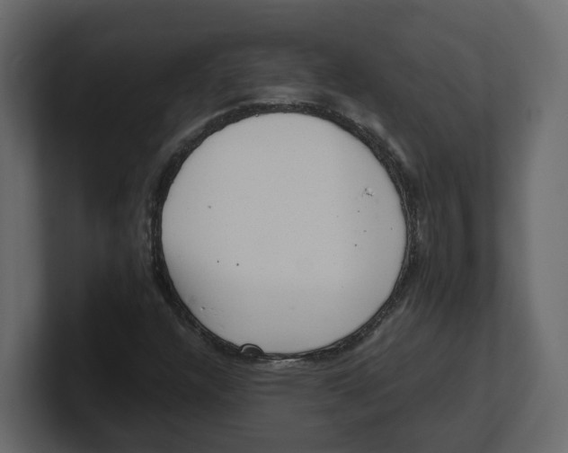 X0000100901304200807151109