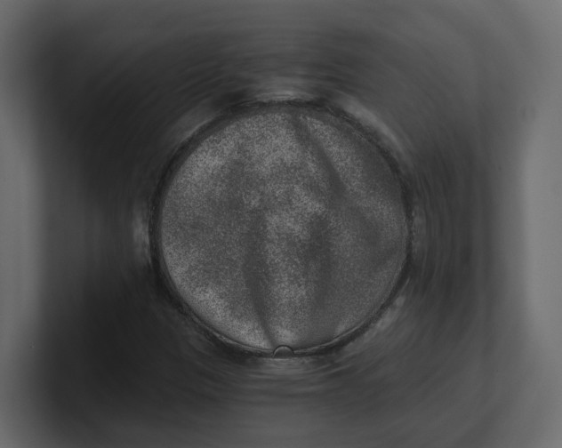 X0000100901305200807151109