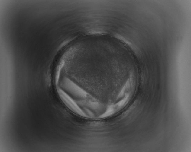 X0000100901306200807151109