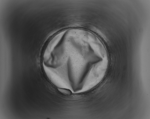 X0000100901308200807151110