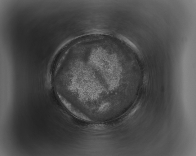 X0000100901310200807151110