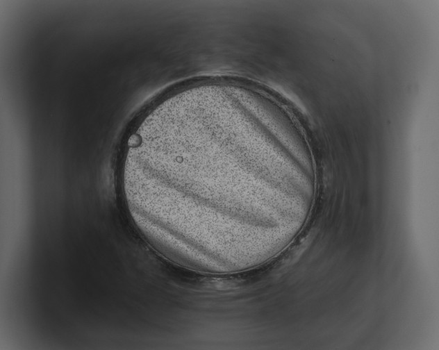 X0000100901311200807151110