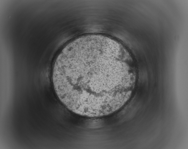 X0000100901314200807151110