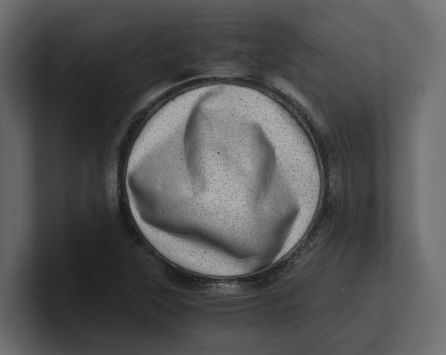 X0000100901315200807151110