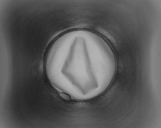 X0000100901316200807151110