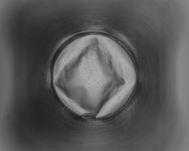 X0000100901320200807151110