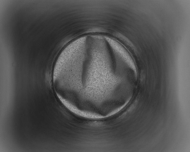 X0000100901321200807151110