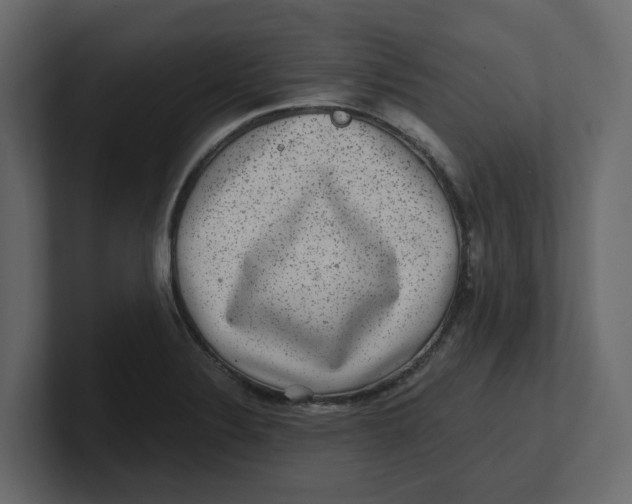 X0000100901324200807151110