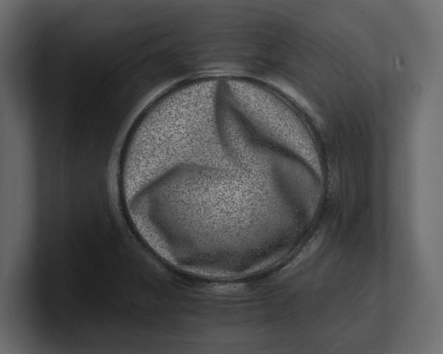 X0000100901325200807151110