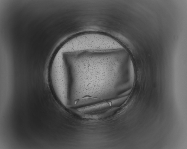 X0000100901326200807151110