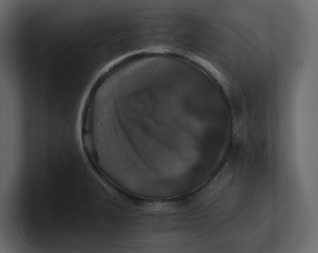 X0000100901327200807151110