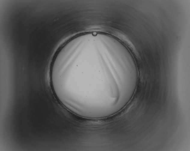 X0000100901328200807151110