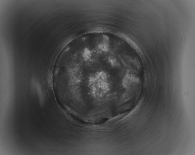 X0000100901329200807151110