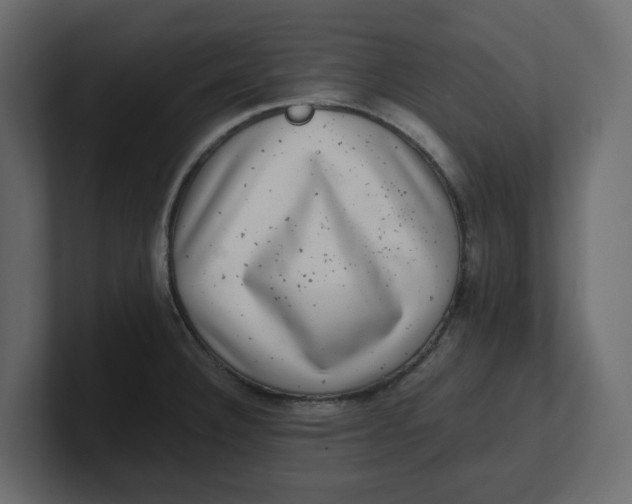 X0000100901332200807151110