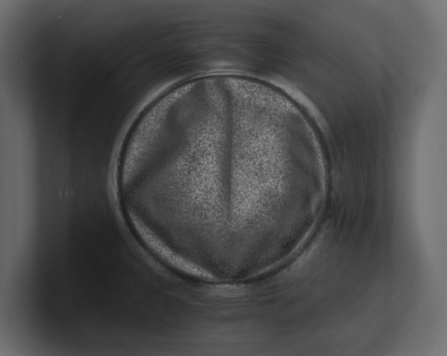 X0000100901333200807151110