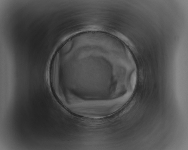 X0000100901334200807151110