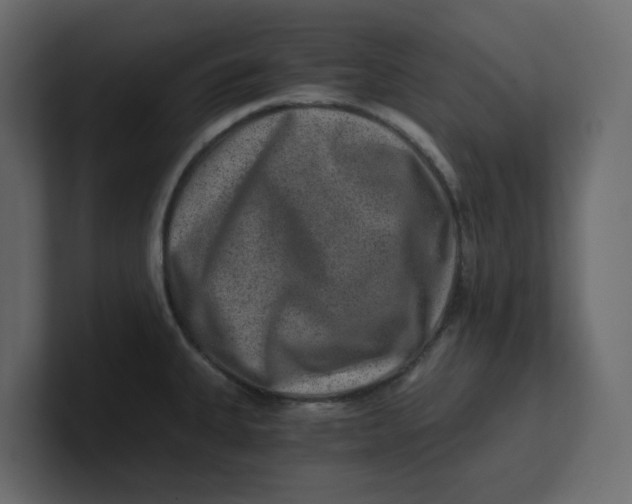 X0000100901335200807151110