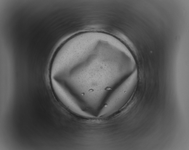 X0000100901336200807151110