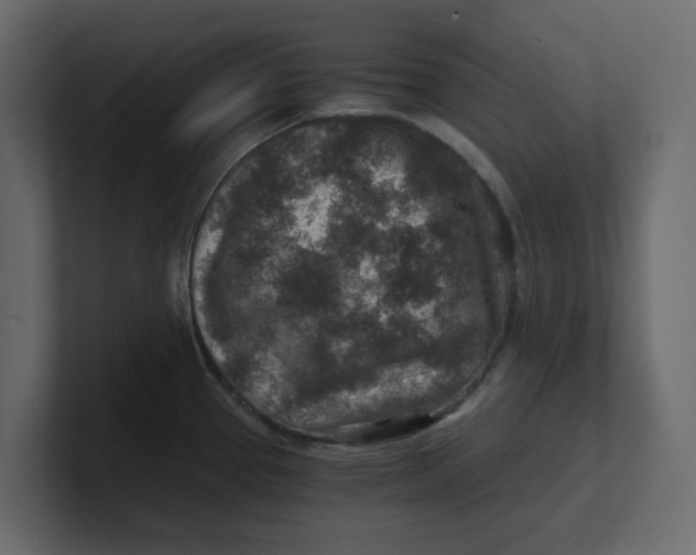 X0000100901337200807151110