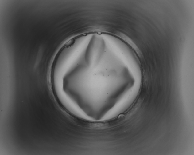 X0000100901339200807151110