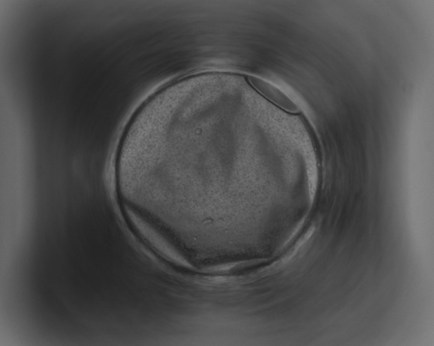 X0000100901341200807151110