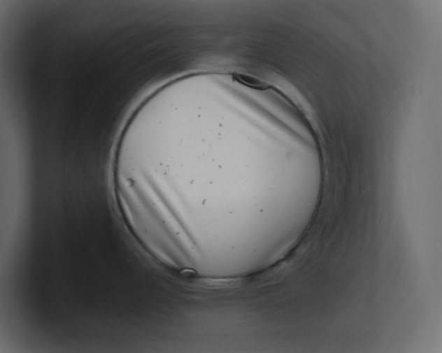 X0000100901344200807151110