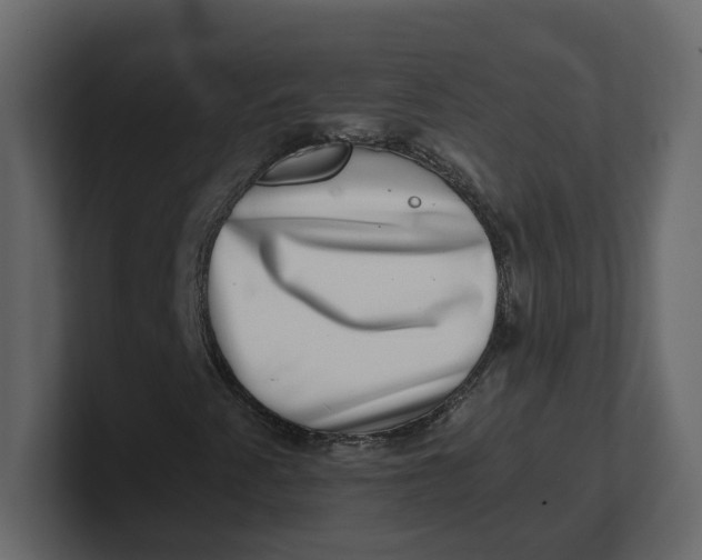 X0000100901345200807151109