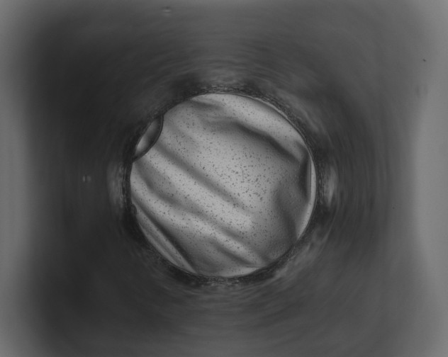 X0000100901346200807151109