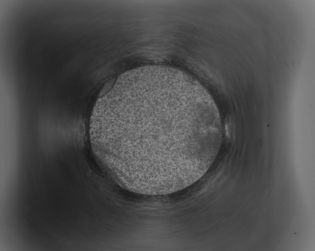 X0000100901347200807151109