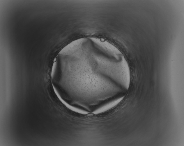 X0000100901349200807151109