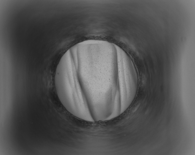 X0000100901350200807151109