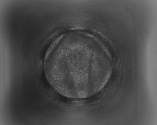 X0000100901351200807151109