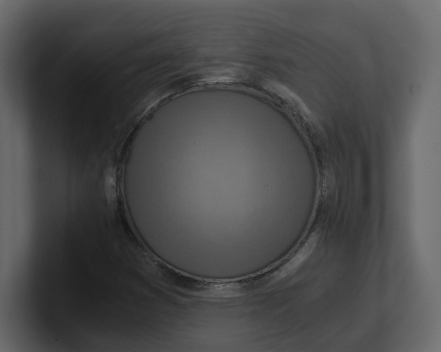 X0000100901353200807151109