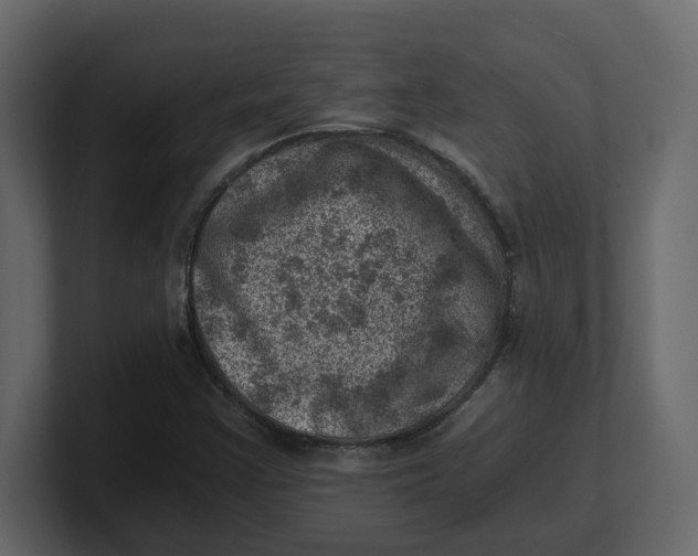 X0000100901355200807151109