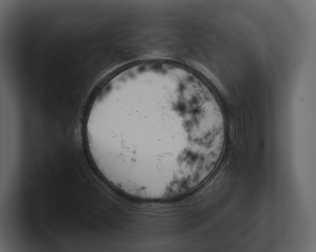 X0000100901356200807151109