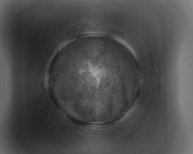 X0000100901357200807151109