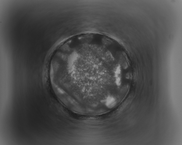 X0000100901359200807151109