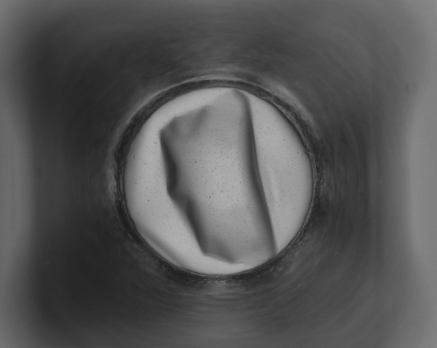 X0000100901360200807151109