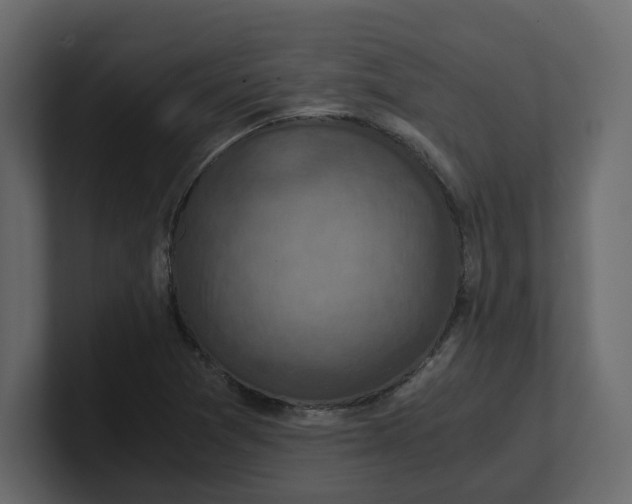 X0000100901361200807151109