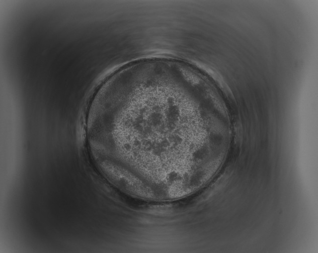 X0000100901363200807151109