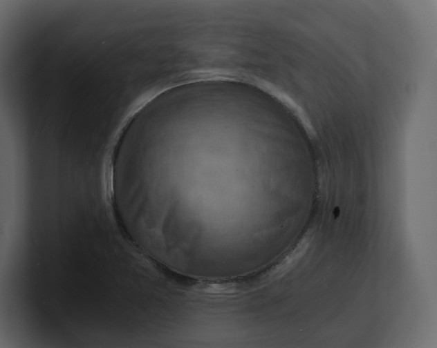 X0000100901365200807151109