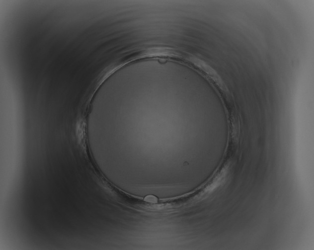 X0000100901369200807151109